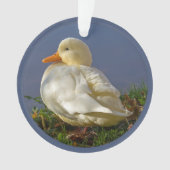 Little White Duck Ornament (Vorderseite)