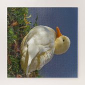 Little White Duck Puzzle (Horizontal)