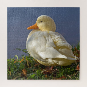 Little White Duck Puzzle