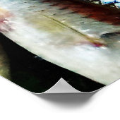 Little White Fish Poster (Ecke)