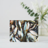 Little White Fish Postkarte (Stehend Vorderseite)