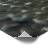 Little White Frogfish Poster (Ecke)