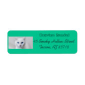 Little White Kitty Address Label (Vorne)