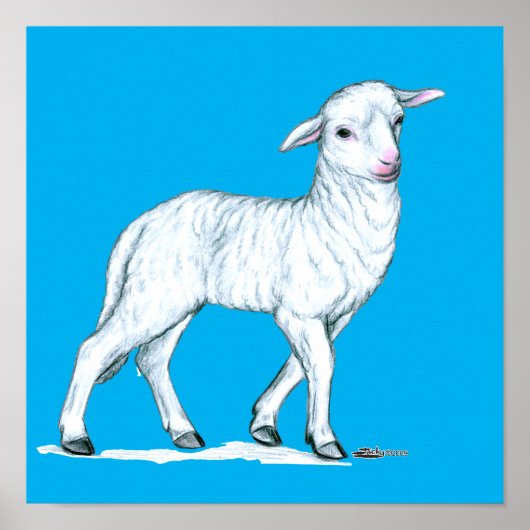 Little White Lamb Poster (Vorne)