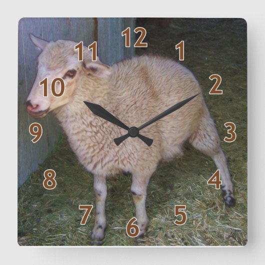 Little White Lamb Quadratische Wanduhr (Vorderseite)