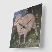 Little White Lamb Quadratische Wanduhr (Winkel)
