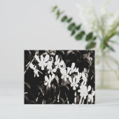 Little White Orchids Postkarte (Stehend Vorderseite)