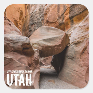 Little Wild Horse Slot Canyon - Utah - Aufkleber
