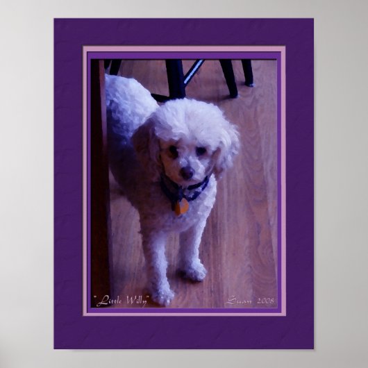 Little Willy Poster (Vorne)