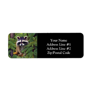 Little Woodland Wilderness Raccoon