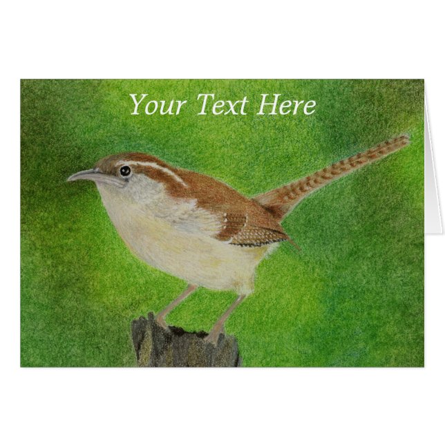 Little Wren (Vorderseite (Horizontal))