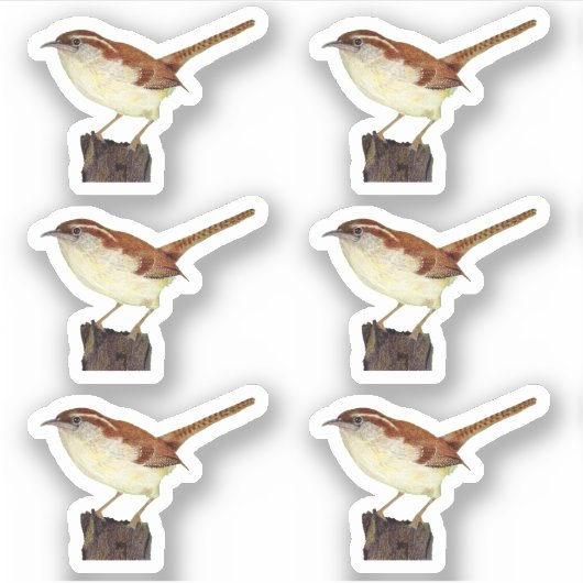 Little Wren Aufkleber (Vorderseite)