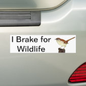 Little Wren Autoaufkleber (Auf Auto)