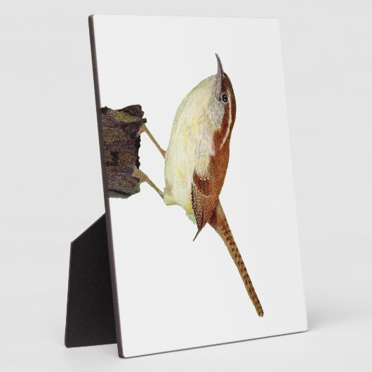 Little Wren Fotoplatte (Seite)