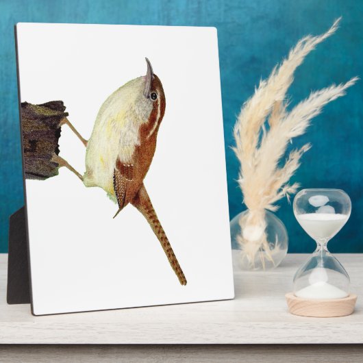 Little Wren Fotoplatte (Seite)