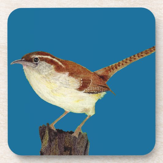 Little Wren Getränkeuntersetzer (Vorderseite)