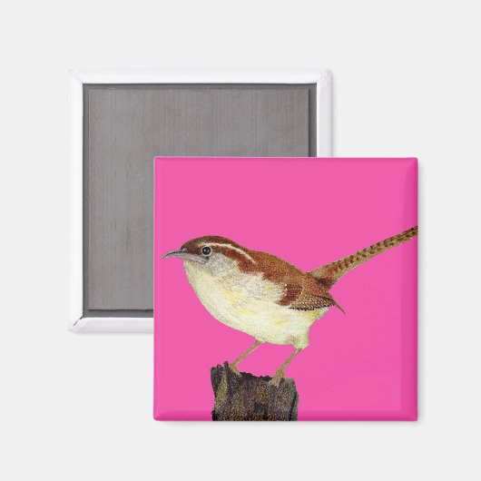 Little Wren Magnet (Vorderseite/Rückseite)