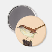 Little Wren Magnet (Vorderseite/Rückseite)