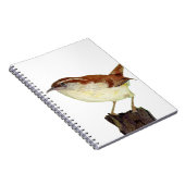 Little Wren Notizblock (Rechte Seite)