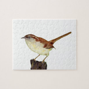Little Wren Puzzle