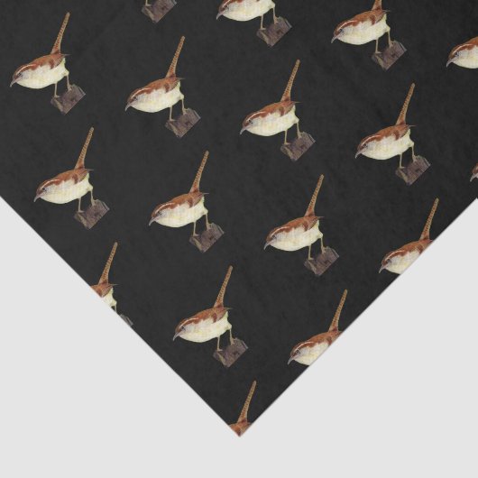 Little Wren Seidenpapier (Ausschnitt)