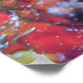 Little Yellow Frogfish Poster (Ecke)