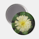 Little Yellow Marigold Magnet (Vorderseite/Rückseite)