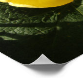 Little Yellow Tulip Print Poster (Ecke)