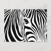 Little Zebra Postcard Postkarte (Vorderseite)