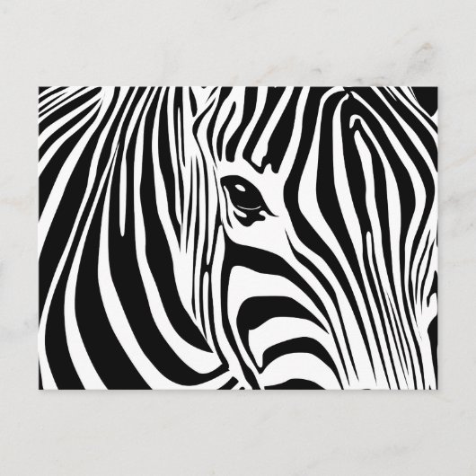 Little Zebra Postcard Postkarte (Vorderseite)