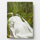 Little Zig Zag Falls | Hood National Forest Fotoplatte (Vorderseite)