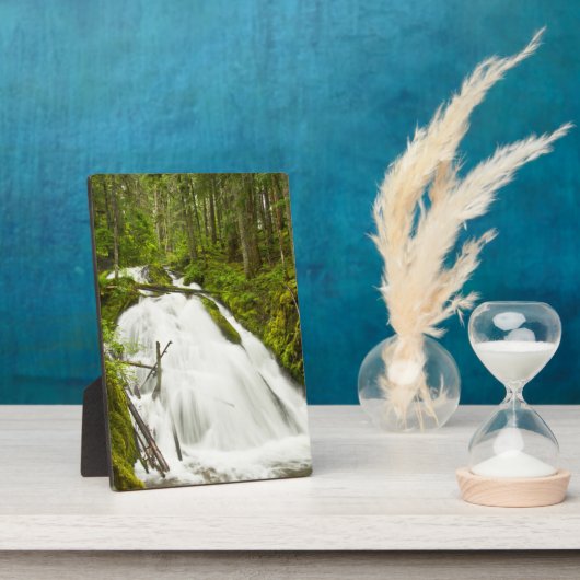 Little Zig Zag Falls | Hood National Forest Fotoplatte (Seite)