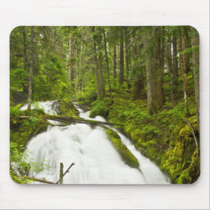 Little Zig Zag Falls Hood National Forest Mousepad