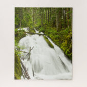 Little Zig Zag Falls | Hood National Forest Puzzle (Vertikal)