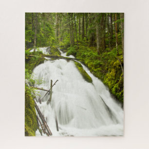Little Zig Zag Falls   Hood National Forest Puzzle
