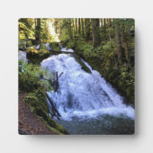 Little Zigzag Falls, OR Fotoplatte (Vorderseite)