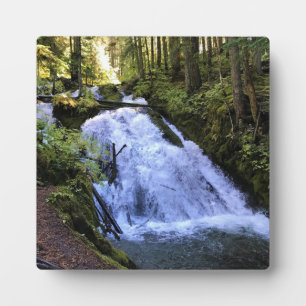 Little Zigzag Falls, OR Fotoplatte