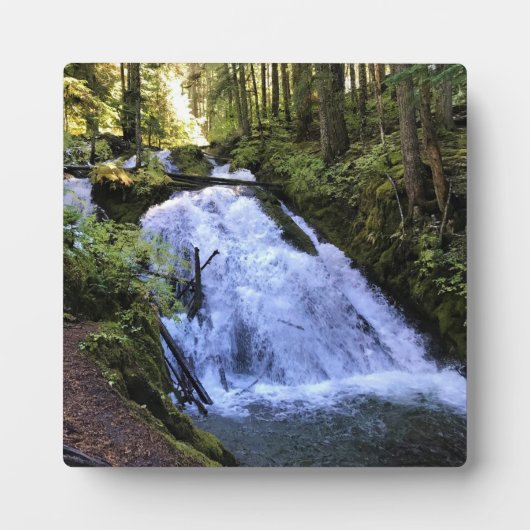Little Zigzag Falls, OR Fotoplatte (Vorderseite)