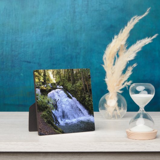 Little Zigzag Falls, OR Fotoplatte (InSitu)