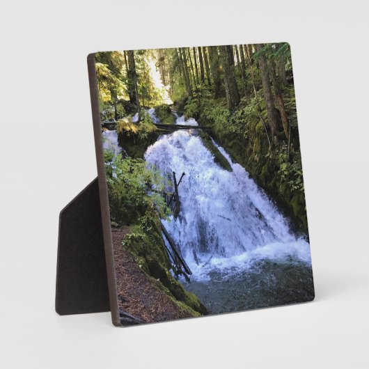 Little Zigzag Falls, OR Fotoplatte (Vorderseite)