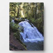 Little Zigzag Falls, OR Fotoplatte (Vorderseite)