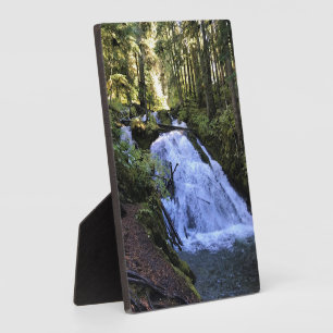 Little Zigzag Falls, OR Fotoplatte