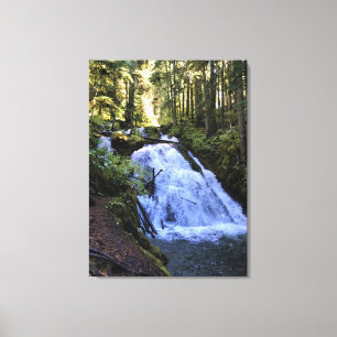 Little Zigzag Falls, Oregon Leinwanddruck