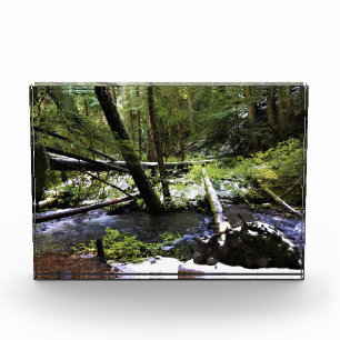 Little Zigzag Fotoblock