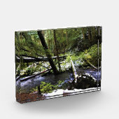 Little Zigzag Fotoblock (Links)