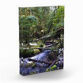 Little Zigzag Fotoblock (Links)