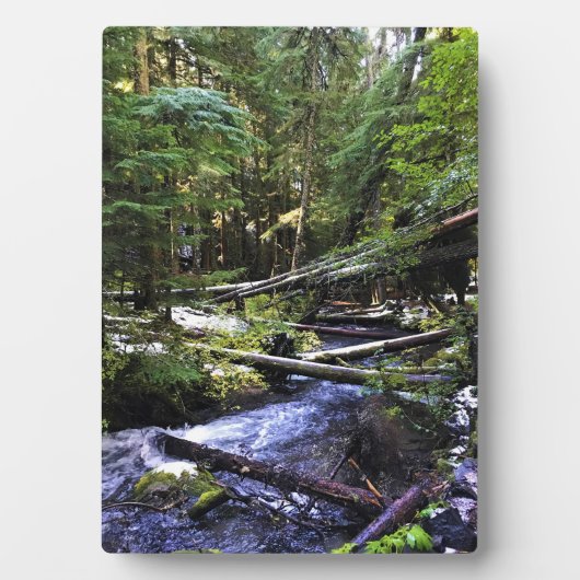 Little Zigzag Fotoplatte (Vorderseite)