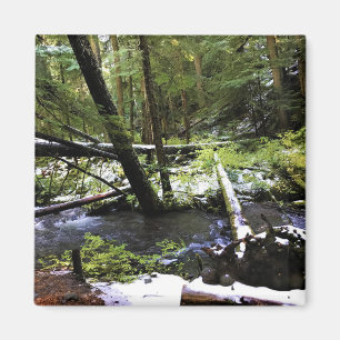 Little Zigzag River, Oregon Magnet