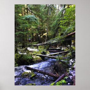Little Zigzag River, Oregon Poster