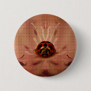 LittleLadyBug Button